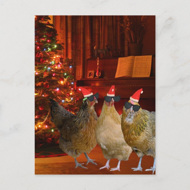 Cool Xmas Chickens Holiday Postcard (Front)