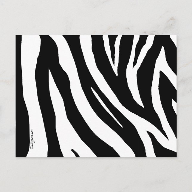 Cool Zebra Stripes Postcard (Front)