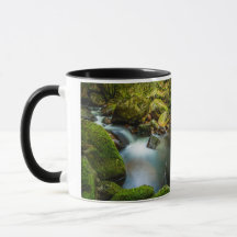 Coolalingo Waterfalls: Serenity in Wicklow