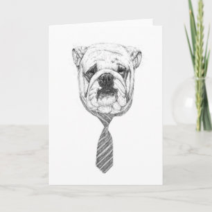 cooldog card