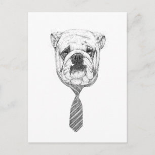 cooldog postcard