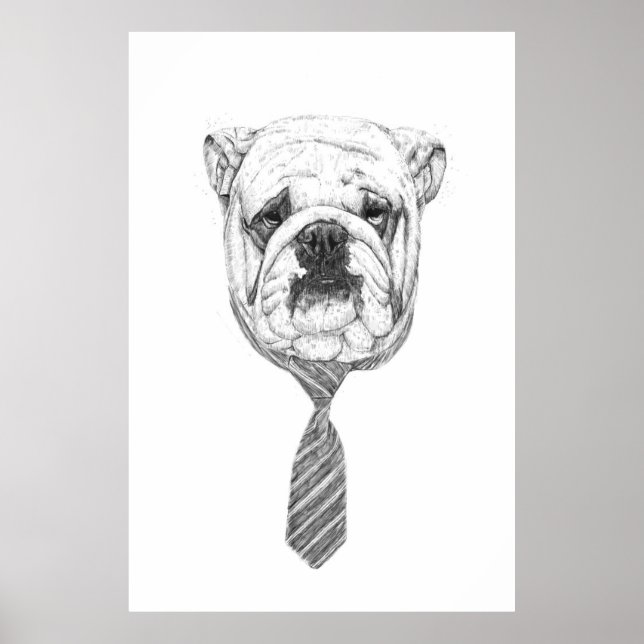 cooldog poster (Front)