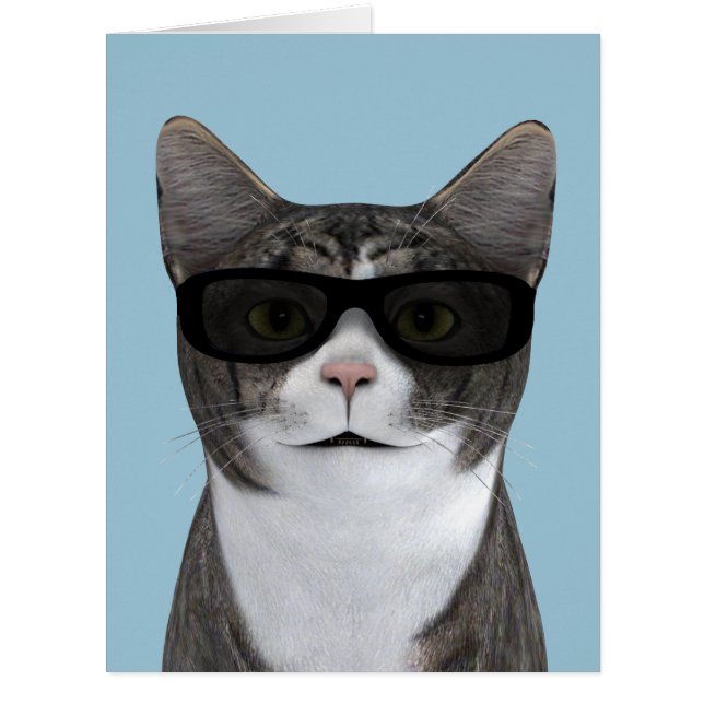 Coolest Cat With Black Sunglasses (Front)
