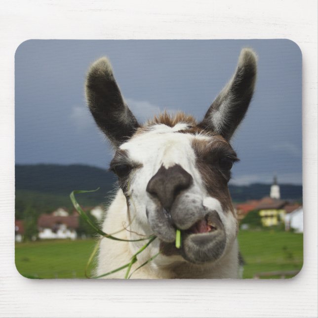 Coolest Llama Mouse Pad (Front)