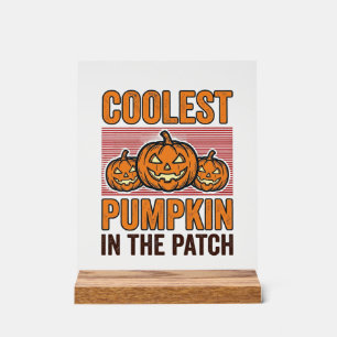 Coolest Pumpkin in the Patch Halloween Vintage Des Acrylic Sign