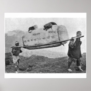 Coolies carrying cotton, 1901 (b/w photo) poster