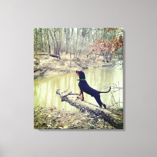 Coon hound at the river canvas print