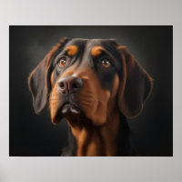 Coonhound Dog