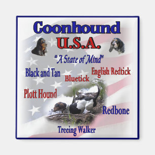 Coonhound USA Gifts Magnet