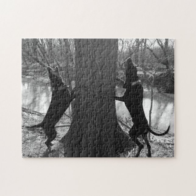Coonhounds Treeing In Black & White Jigsaw Puzzle (Horizontal)