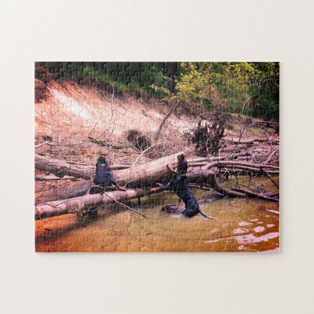 Coonhounds Treeing In The River Jigsaw Puzzle (Horizontal)