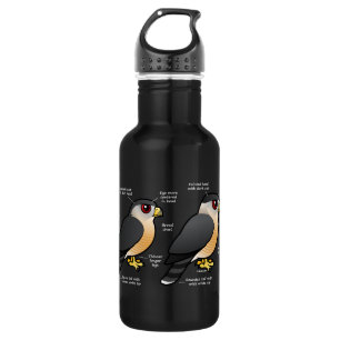 Coop v Sharpie 532 Ml Water Bottle