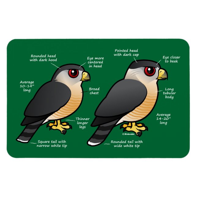 Coop v Sharpie Magnet (Horizontal)