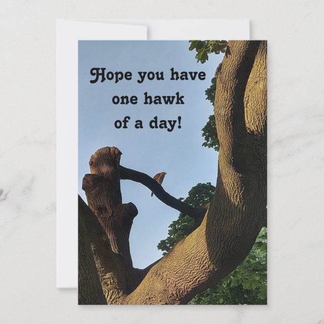 Cooper Hawk Well Wishes Card (Front)