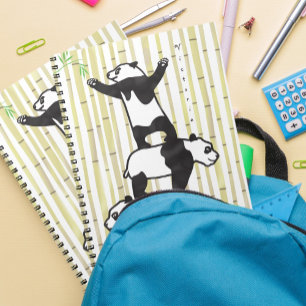 Cooperating pandas notebook
