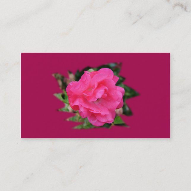 cooperation business card,pink rose card (Front)