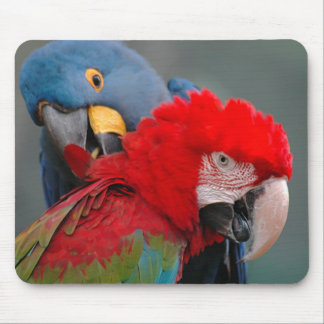 Cooperation Mouse Pad