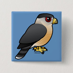 Cooper's Hawk 15 Cm Square Badge