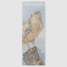 Cooper's Hawk Bookmark