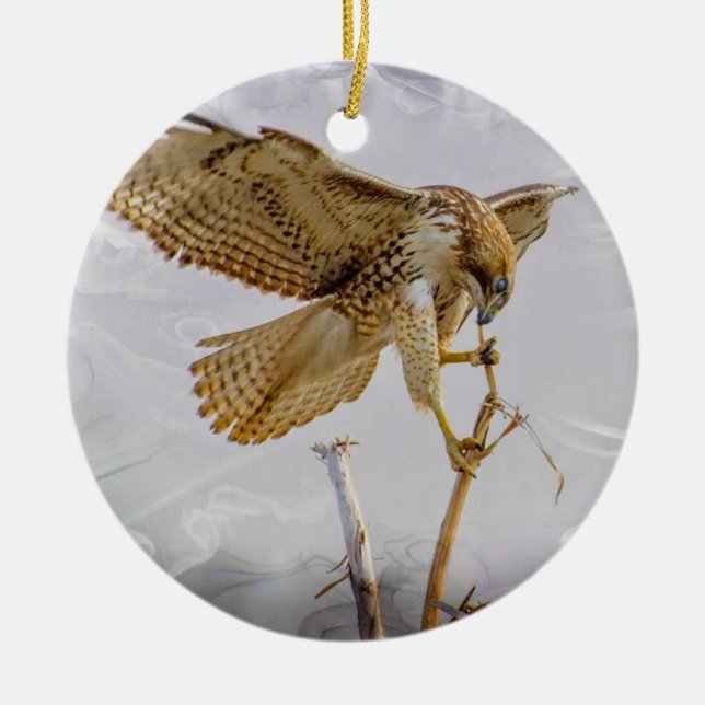 Coopers Hawk Ceramic Tree Decoration (Front)