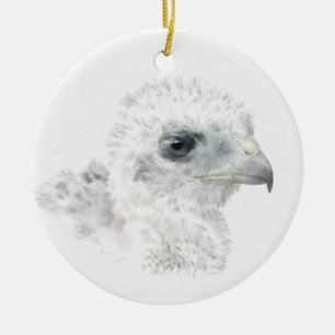 Coopers Hawk Chick Ceramic Tree Decoration