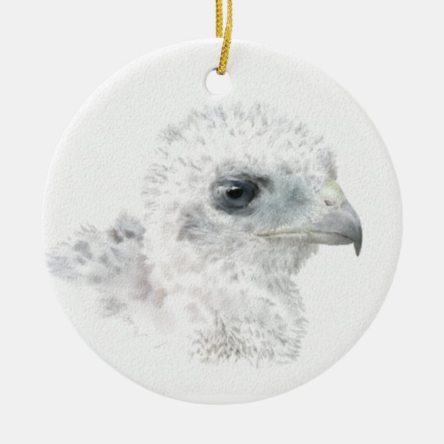 Coopers Hawk Chick Ceramic Tree Decoration (Front)