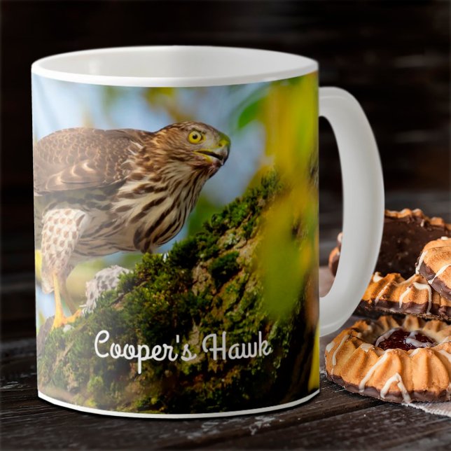 Cooper's hawk coffee mug (Creator Uploaded)