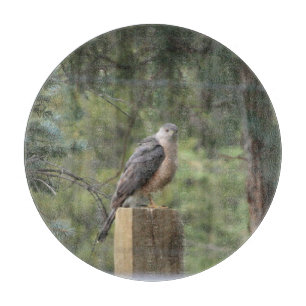 Cooper's Hawk Cutting Board