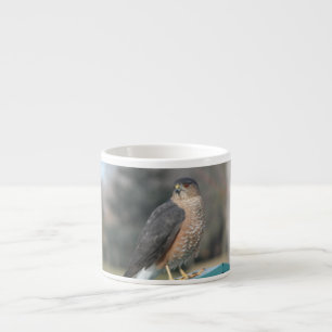 Coopers Hawk Espresso Cup