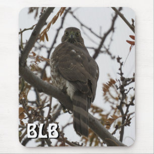 Cooper's Hawk in Tree Your Initials Mouse Pad