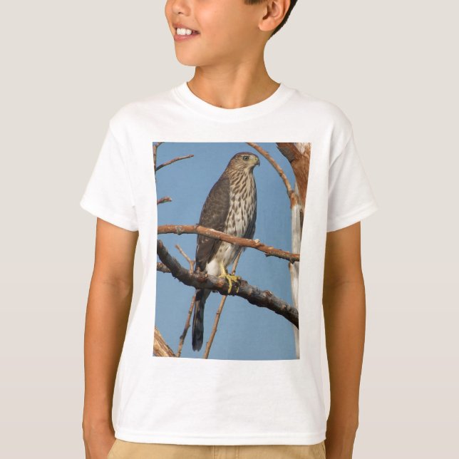Cooper's Hawk Kids T-Shirt (Front)