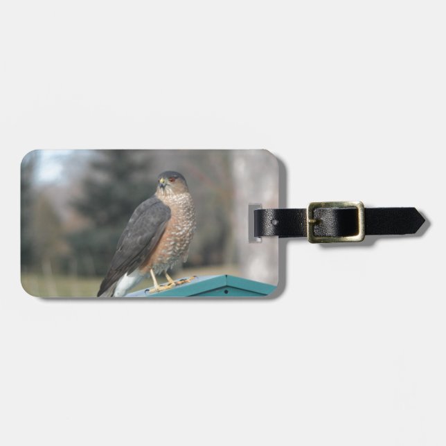 Coopers Hawk Luggage Tag (Front Horizontal)