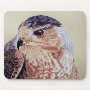 Coopers Hawk Mouse Pad
