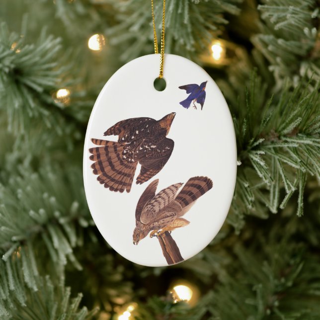 Cooper's Hawk Oval Christmas Ornament (Tree)