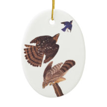 Cooper's Hawk Oval Christmas Ornament