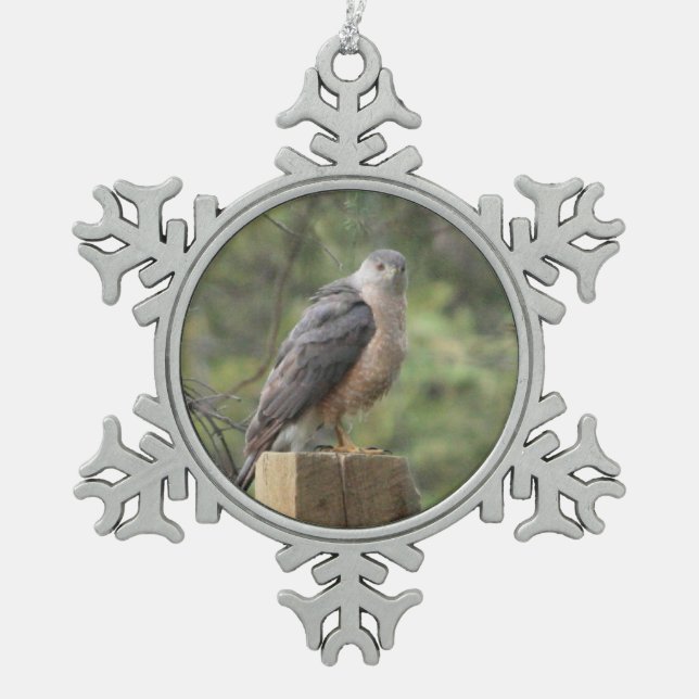 Cooper's Hawk Snowflake Pewter Christmas Ornament (Front)