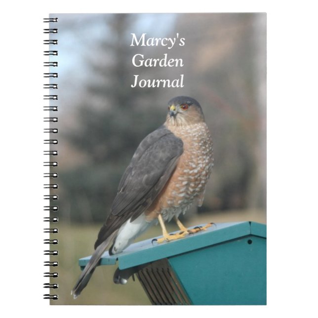 Coopers Hawk Spiral Notebook (Front)