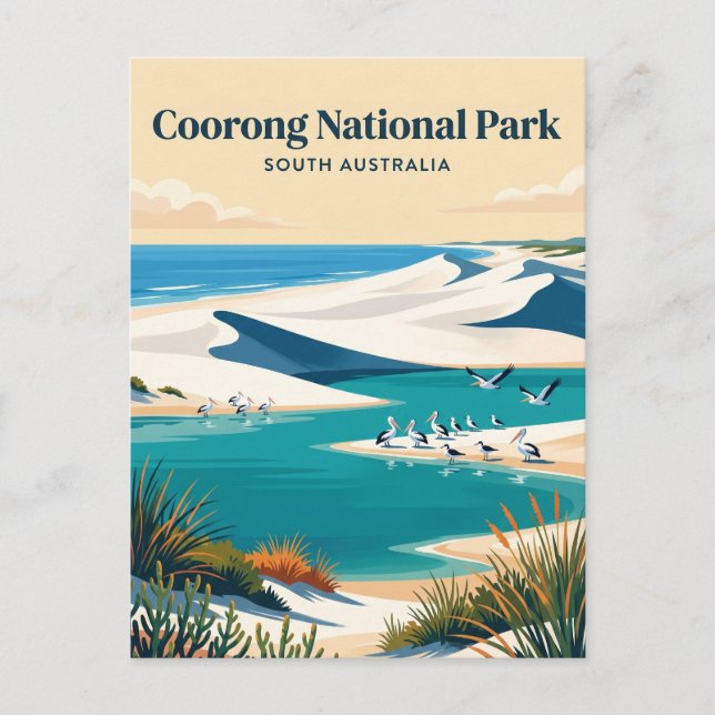 Coorong National Park Australia Postcard (Front)