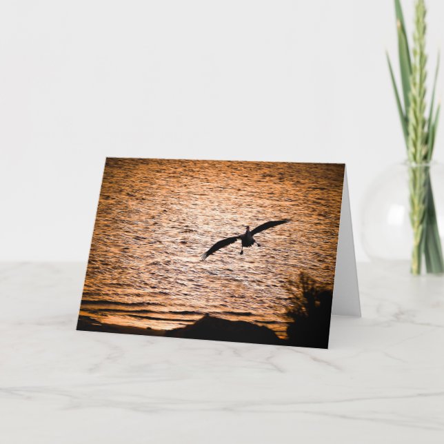 Coorong Pelican on Dusk Card (Front)