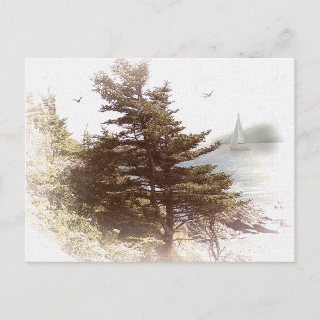 Coos Bay Oregon Postcard (Front)