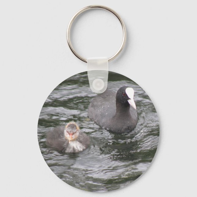 Coot and Chick Keychain (Front)