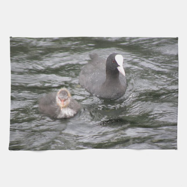 Coot and Chick Kitchen Towel (Horizontal)
