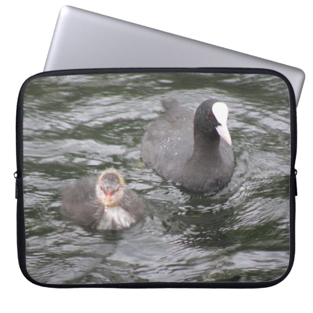 Coot and Chick Laptop Sleeve (Front)