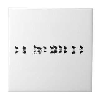 Coot Design - Black on White Tile