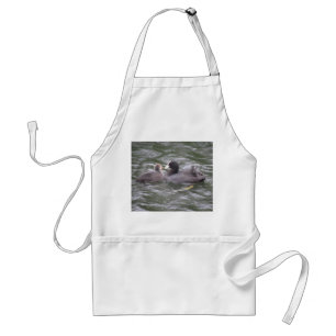 Coot Feeding Hungry Chick Apron