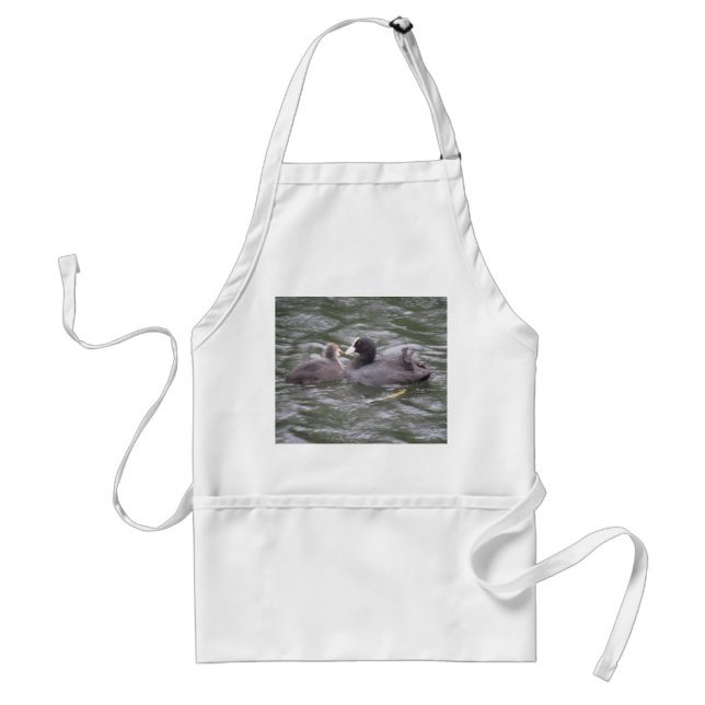 Coot Feeding Hungry Chick Apron (Front)