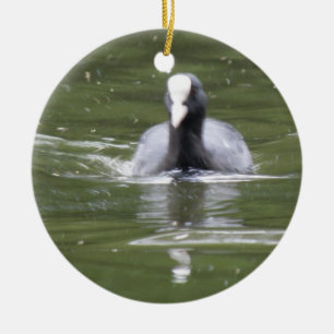 Coot Swimming Custom Birthday Ceramic Tree Decoration