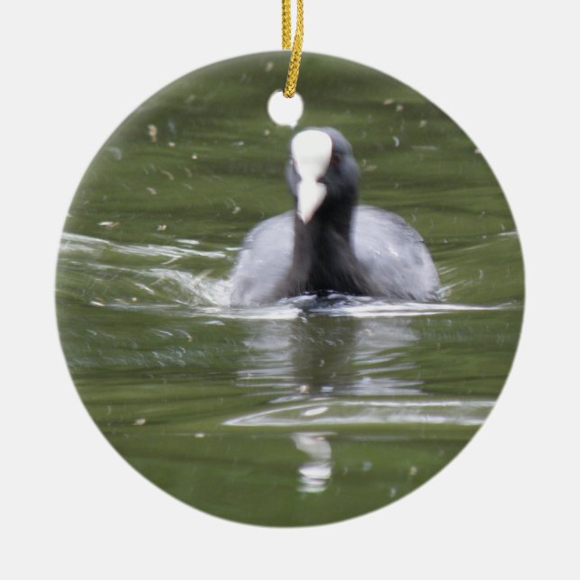 Coot Swimming Custom Birthday Ceramic Tree Decoration (Front)