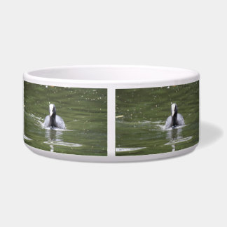 Coot Swimming Dog Bowl