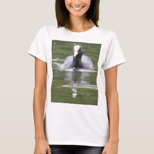 Coot Swimming Ladies T Shirt